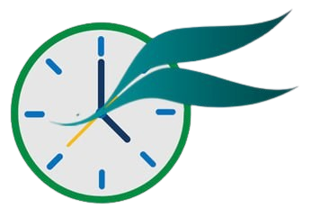 doball timing logo